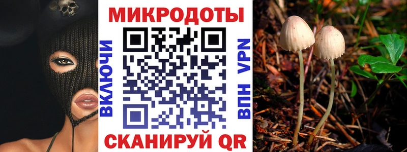 где можно купить наркотик Самара Галлюциногенные грибы Cubensis